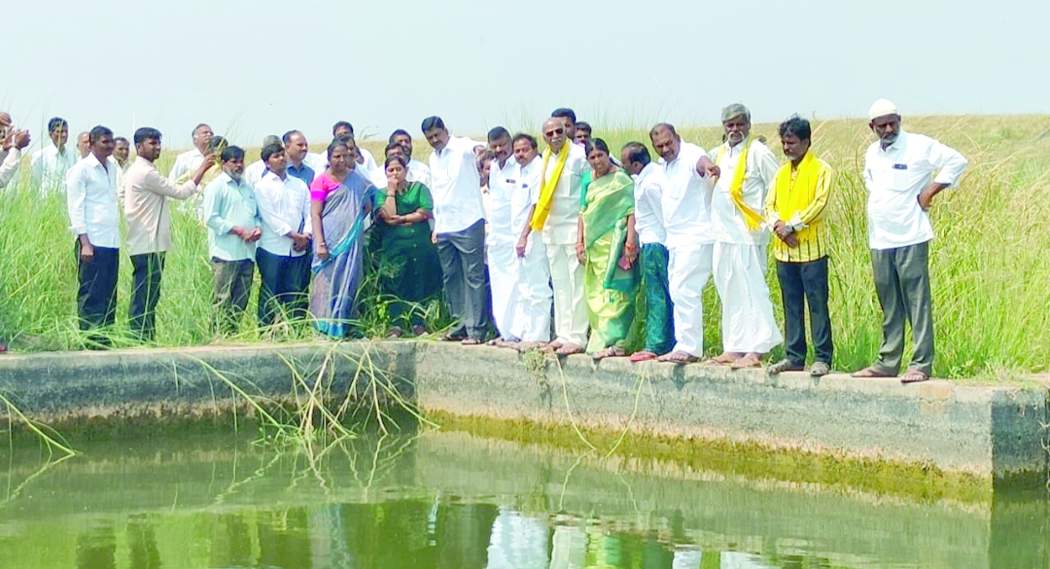   సమ్మర్‌ స్టోరేజ్‌ ట్యాంకును పరిశీలిస్తున్న ఎమ్మెల్యే పయ్యావుల కేశవ్‌