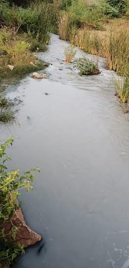 నీవా నదిలో వదులుతున్న గ్రానైట్‌ ఫ్యాక్టరీ వ్యర్థపు నీరు 