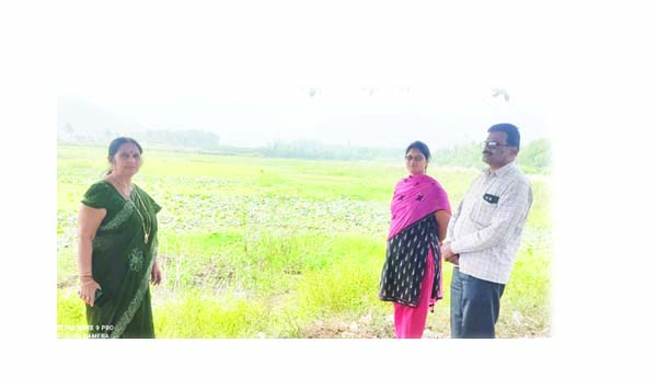 ఎండిన చెరువులు.. బీటలు వారిన పొలాలు