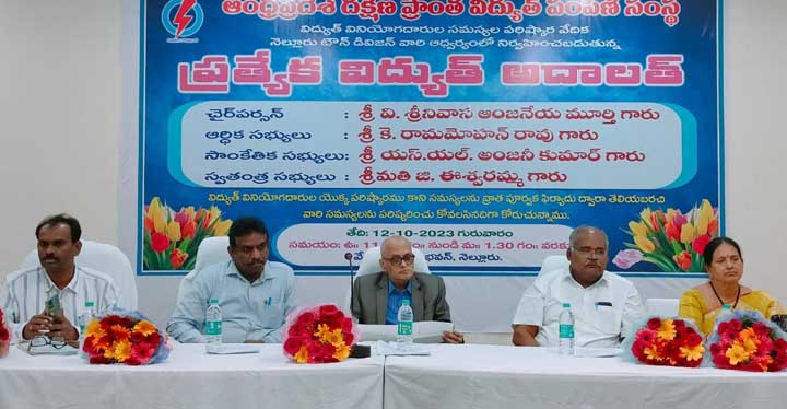 విద్యుత్‌ సమస్యలకు తక్షణ పరిష్కారం
