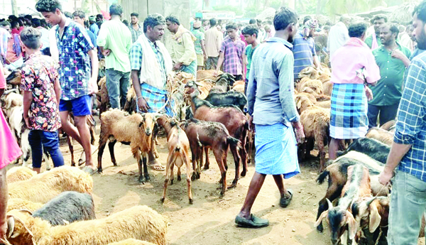 వారపు సంతకు దసరా శోభ
