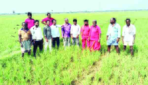 రాంబిల్లిని కరువు మండలంగా ప్రకటించాలి