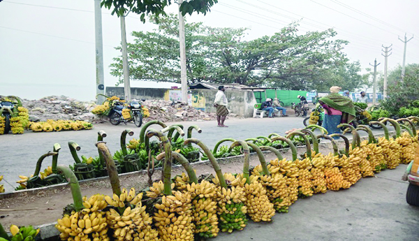 The-price-of-bananas-has-fallen