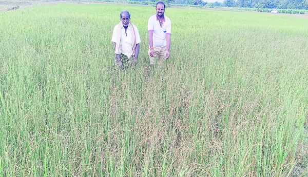  ఊరించి..ఉసూరుమనిపించి