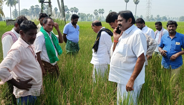 crop-damage-by-power-cuts