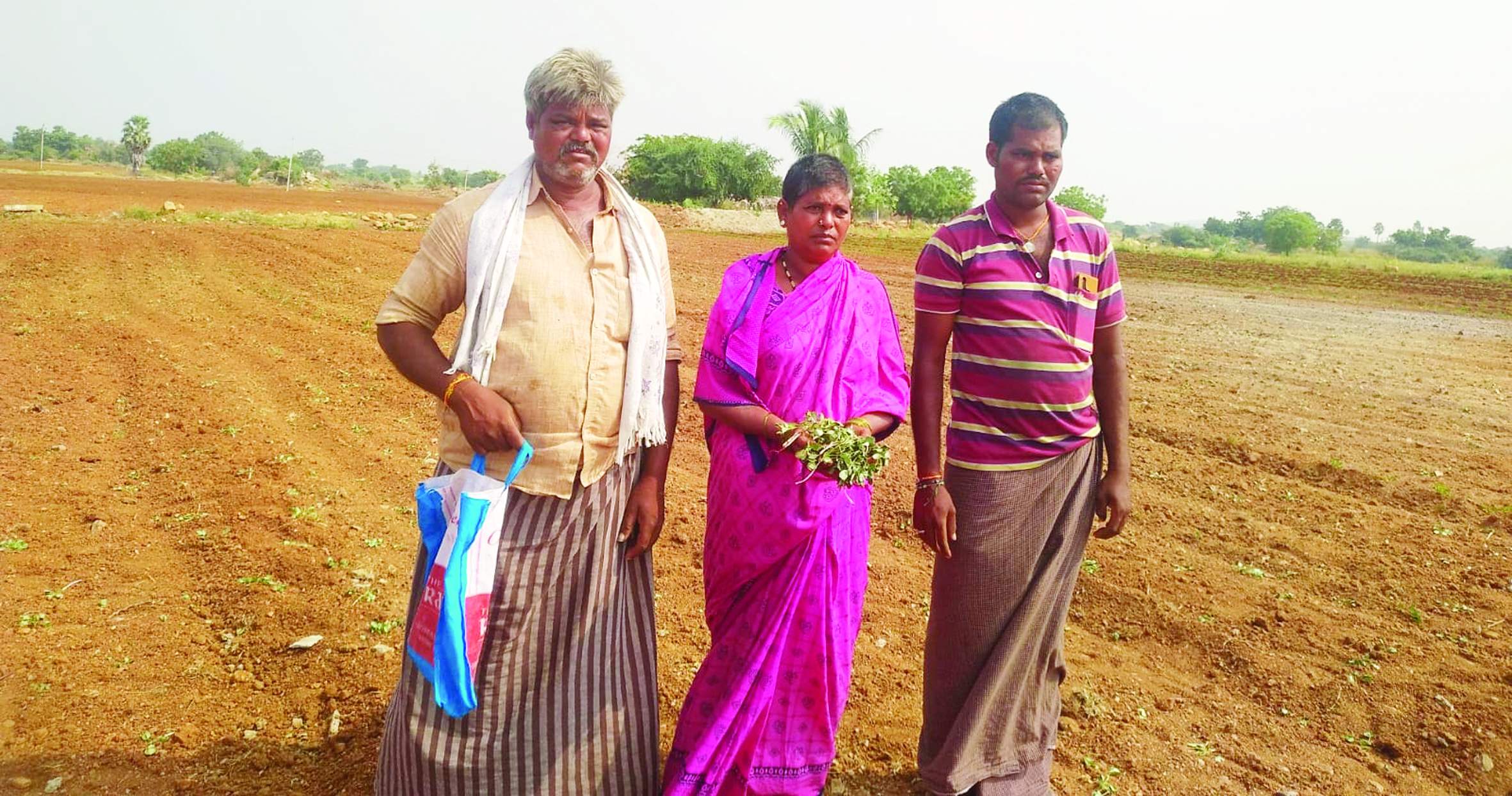 దున్నేసిన వేరుశనగ మొక్కలను చూపిస్తున్న రైతు గంగన్న