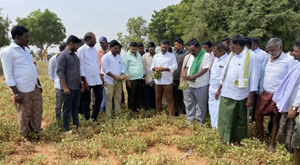 ఎమ్మెల్యే