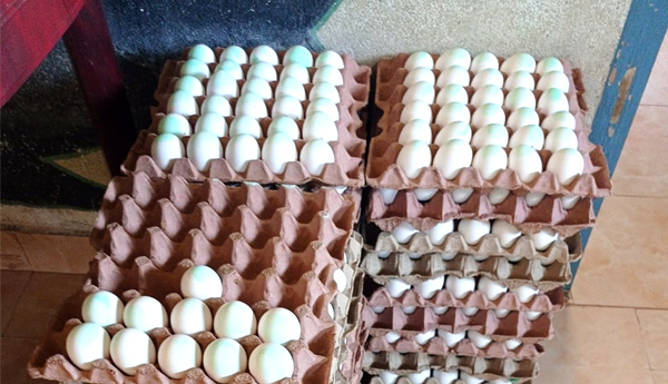 సరుకు (రక్త) హీనత..!