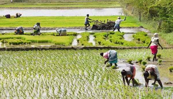 The-farmers-of-the-capital-are-worried-about-the-rent