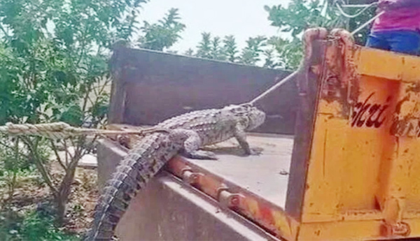 If-the-farmers-get-angry-it-will-be-like-this