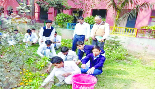 The-campus-is-a-green-arch
