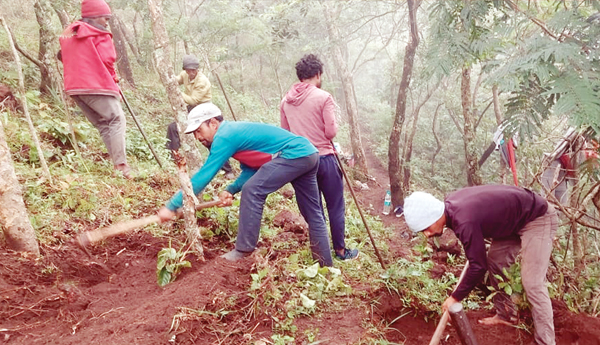 govt-neglect-coffee-crop-farmers