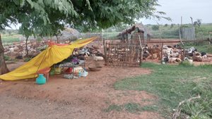 గొర్రెల కాపరులు