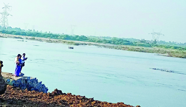 Non-Progressive-Gundrevas