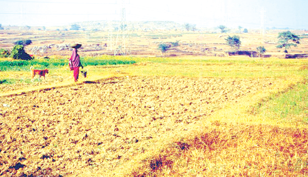 irrigation-crisis-in-ap-khariff-season-story