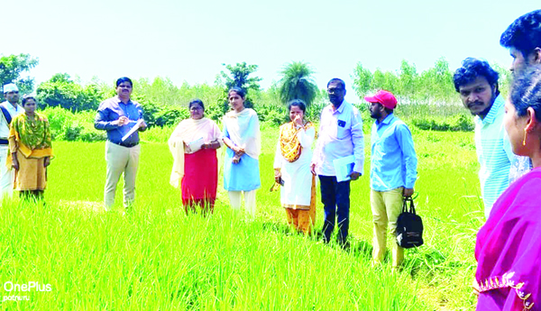 ఇ- క్రాప్‌ నమోదు తప్పనిసరి : జెసి