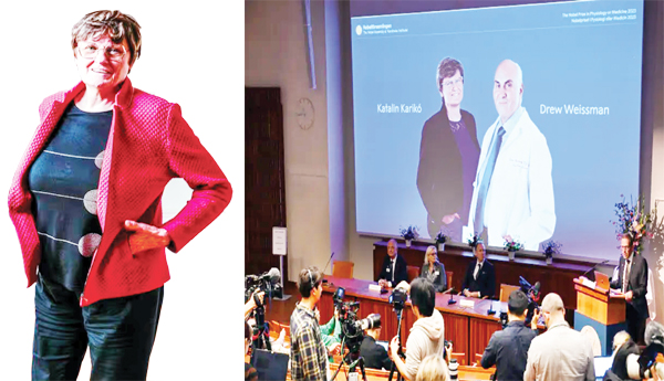 Nobel-for-continuous-efforts