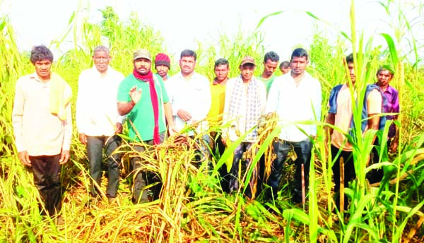 ఏనుగులతో నష్టపోయిన గిరిజనులను ఆదుకోవాలి