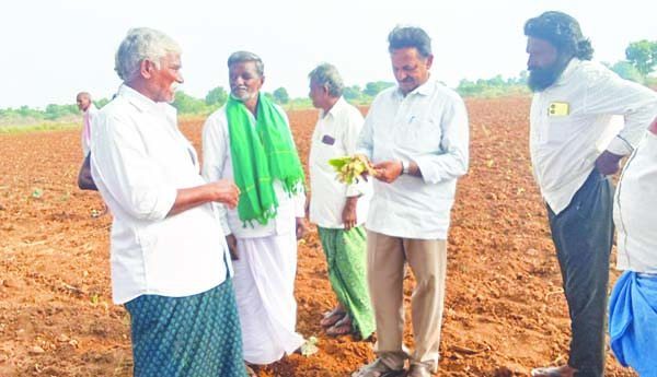 రైతులను ఆదుకోవాలి: సిపిఎం