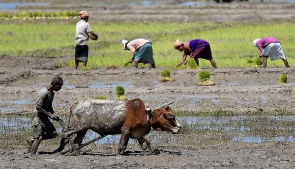 Compensation-to-Manipur-farmers