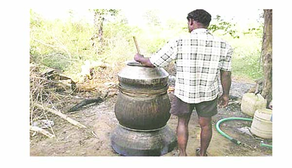 ఎస్‌ఇబికి దిక్కెవరు?