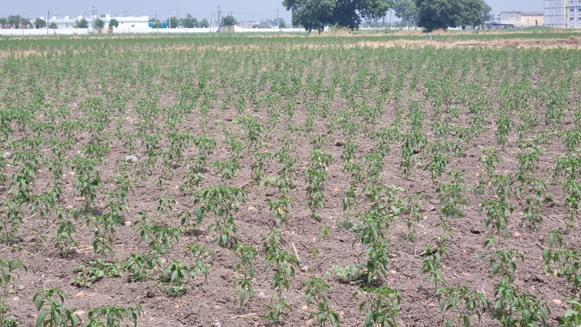 మంత్రి మాట నీటి మూట