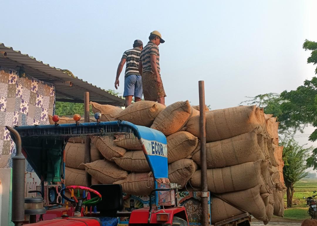 ధర ఘనం.. దిగుబడి శూన్యం