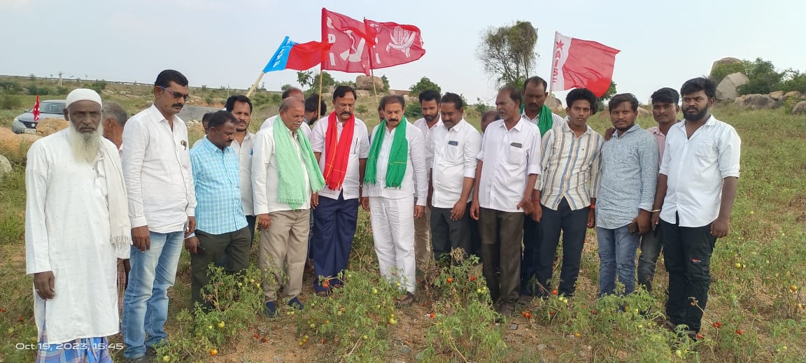 టమోటా పంటను పరిశీలిస్తున్న సిపిఐ రాష్ట్ర కార్యదర్శి రామకృష్ణ