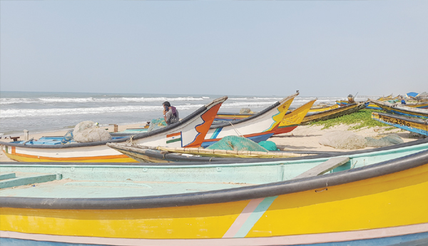 problems-with-bul-drug-park-in-anakapalli-fisherman