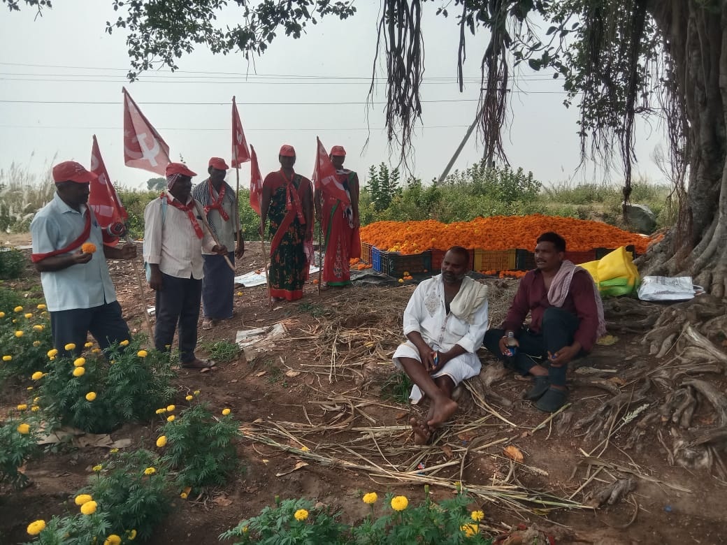 వ్యవసాయం తీవ్ర సంక్షోభంలో ఉన్నా పట్టని పాలకులు