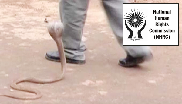 What-are-the-measures-against-snakebite-deaths-NHRC-questioned-the-Centre