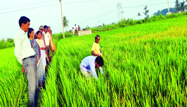 Sudidoma-disturbance