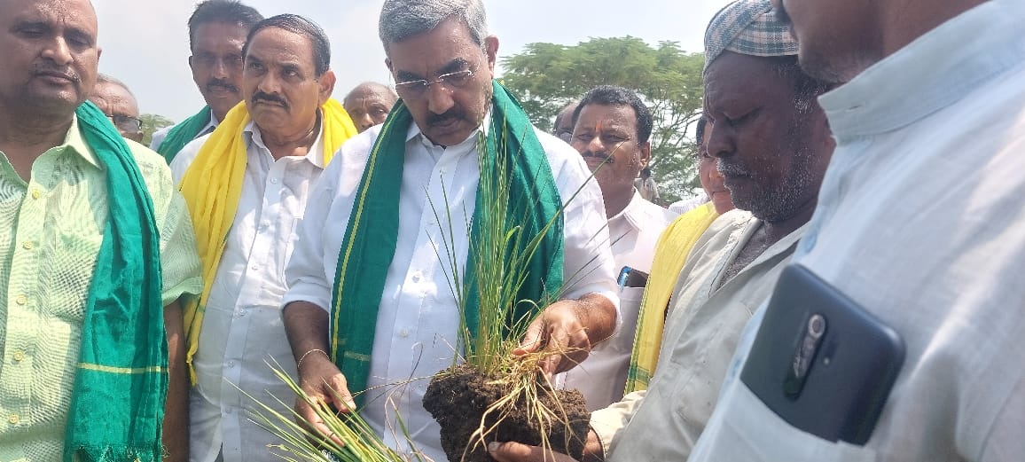 నీళ్లు అందక వరి పొలంలో బీటలు