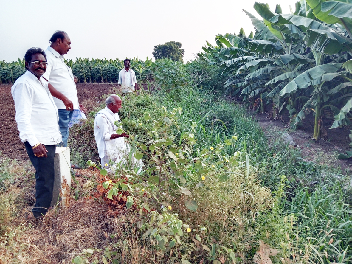 పంటలను కాపాడాలంటే కాల్వను పున:నిర్మించాలి