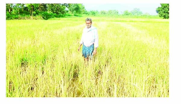 న(క)ష్టాన్ని కొని తెచ్చుకున్నాడు..