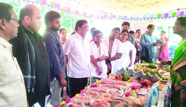 జెఎఎస్‌కు విశేష స్పందన : డిఎంహెచ్‌ఒ