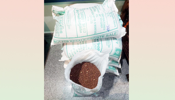 Mixture-of-fake-seeds