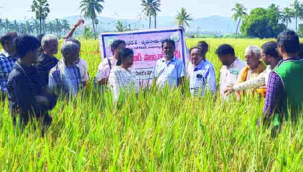 ఉత్తమ గ్రామ యజమాన్య పద్ధతులు పరిశీలన