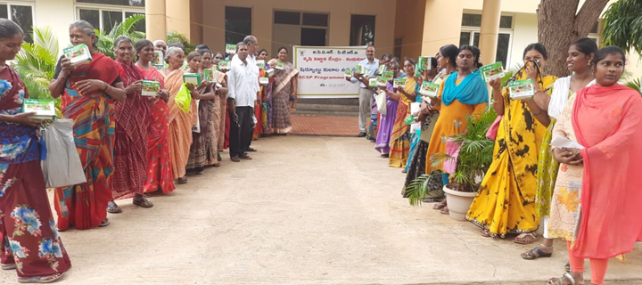 విత్తనాల కిట్లు పంపిణీ