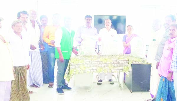 సబ్సిడీపై శనగ విత్తనాలు పంపిణీ