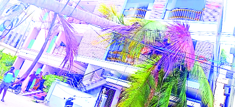 చెట్టు విరిగి కూలిన విద్యుత్‌ స్తంభం తప్పిన పెను ప్రమాదం