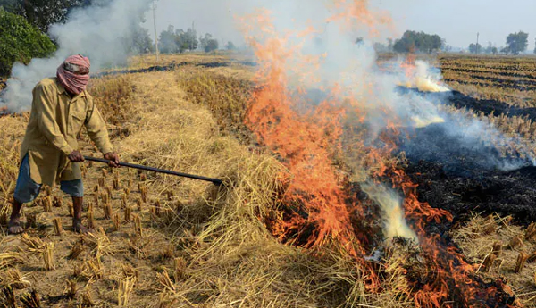 delhi-air-pollution-murder-of-public-health-supreme-court