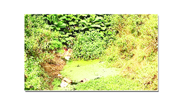 జంఝావతి .. మాకేటీ గతి..