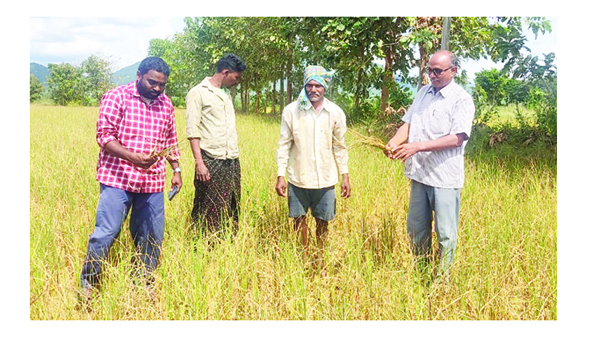 కరువు మండలాలుగా ప్రకటించాలి