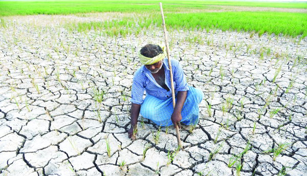 Cuts-for-drought