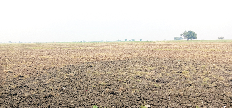 కరువు కానని ప్రభుత్వం