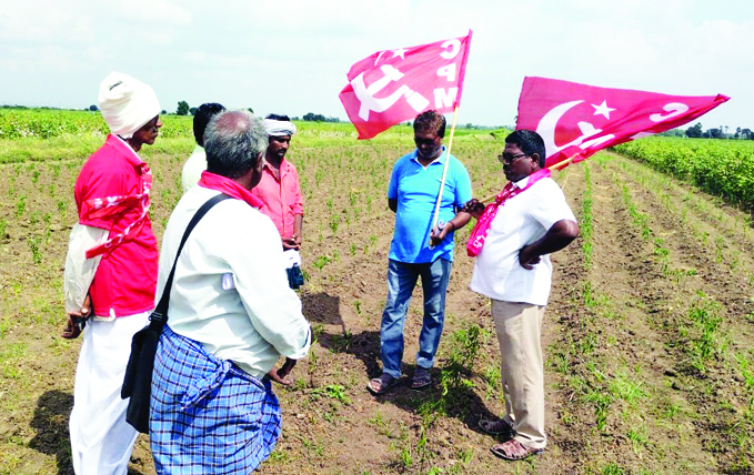 మిరపకు నీరు .. పత్తికి ధర లేవు