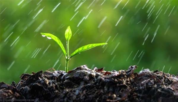 మట్టి వాసన చెప్పింది