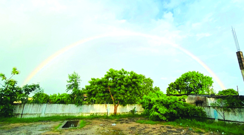 విరిసిన అందాల హరివిల్లు..