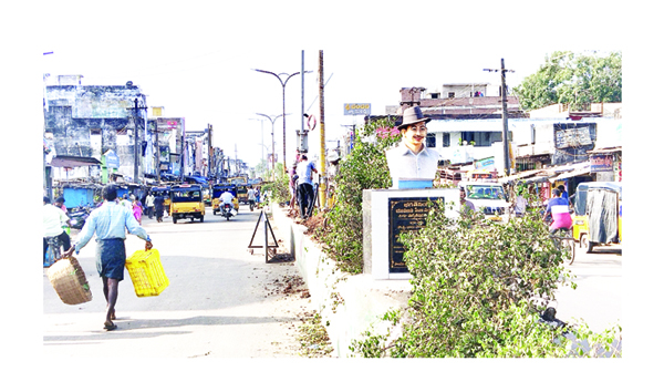 రాత్రికి రాత్రే డివైడర్లపై మొక్కలు తొలగింపు